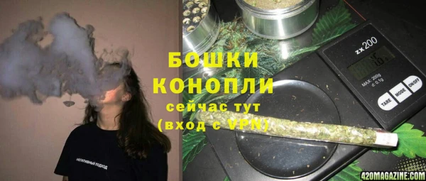 гашик Гусь-Хрустальный