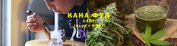гашик Гусь-Хрустальный