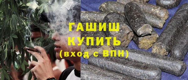 apvp Гусев