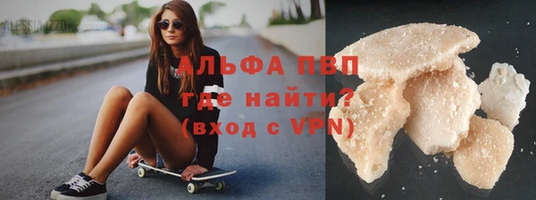 индика Гусиноозёрск