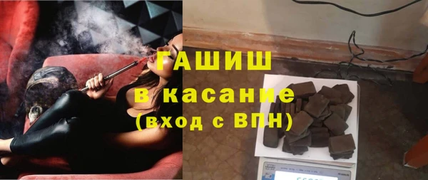 индика Гусиноозёрск
