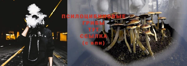 гашик Гусь-Хрустальный