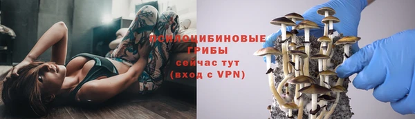 ешки Горно-Алтайск