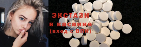 индика Гусиноозёрск