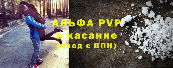 гашик Гусь-Хрустальный
