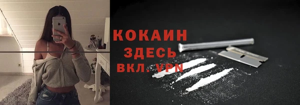 индика Гусиноозёрск