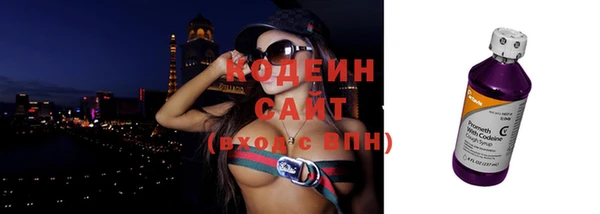 гашик Гусь-Хрустальный