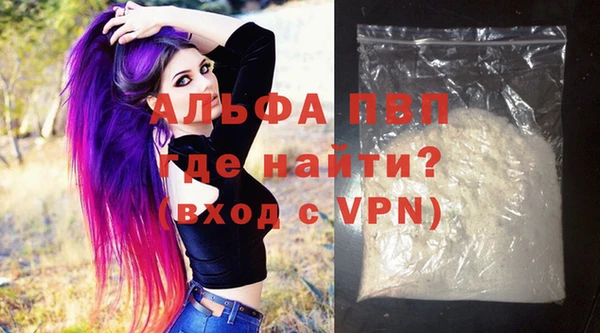 apvp Гусев