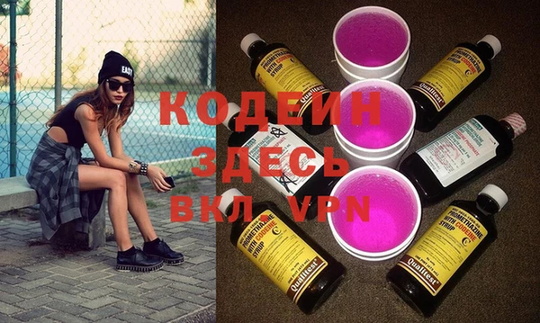 apvp Гусев