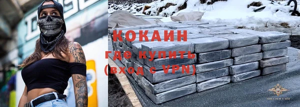 гашик Гусь-Хрустальный