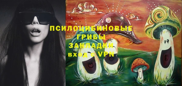 apvp Гусев