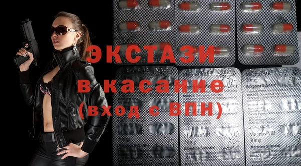 гашик Гусь-Хрустальный