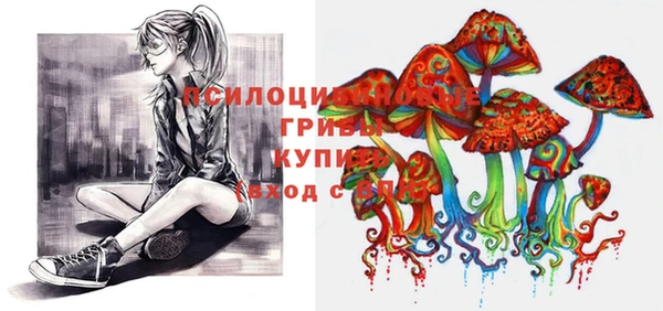 индика Гусиноозёрск