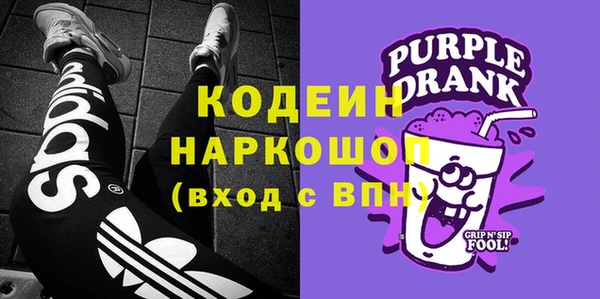 apvp Гусев