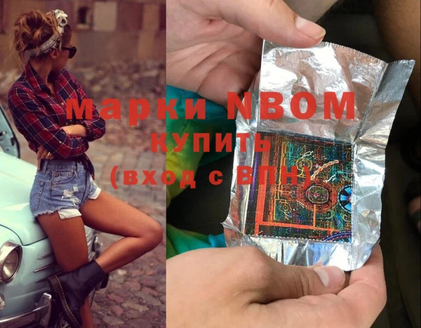 индика Гусиноозёрск