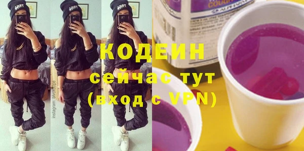 apvp Гусев