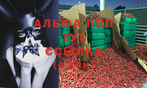 apvp Гусев
