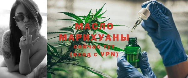 apvp Гусев