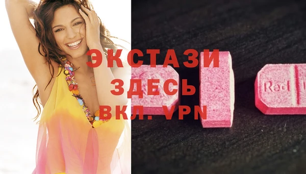 apvp Гусев